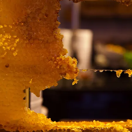 호텔 Limak Ambassadore 4*