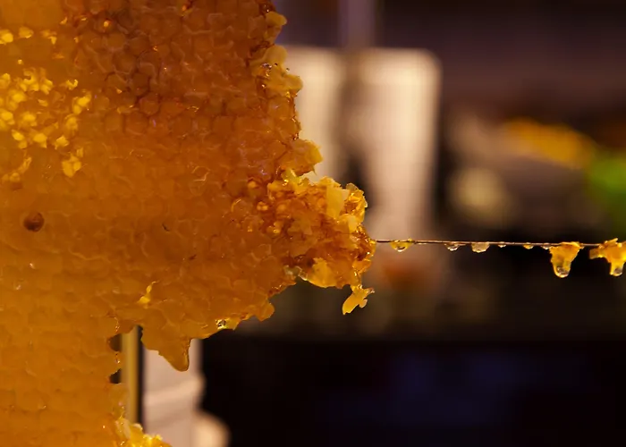 ホテル Limak Ambassadore 4*